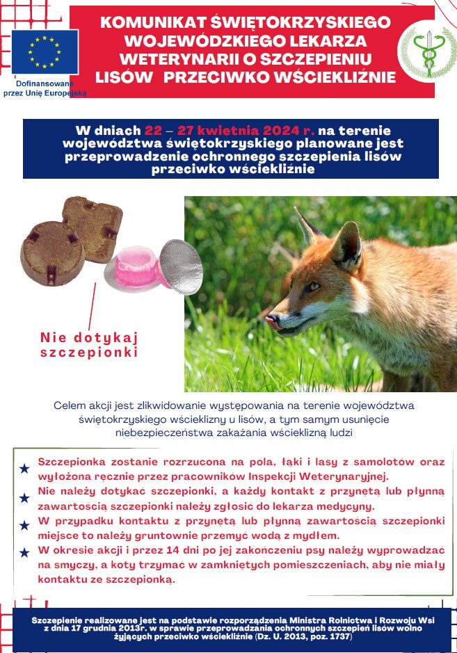 Komunikat Świętokrzyskiego Wojewódzkiego Lekarza Weterynarii o szczepieniu lisów przeciwko wściekliźnie